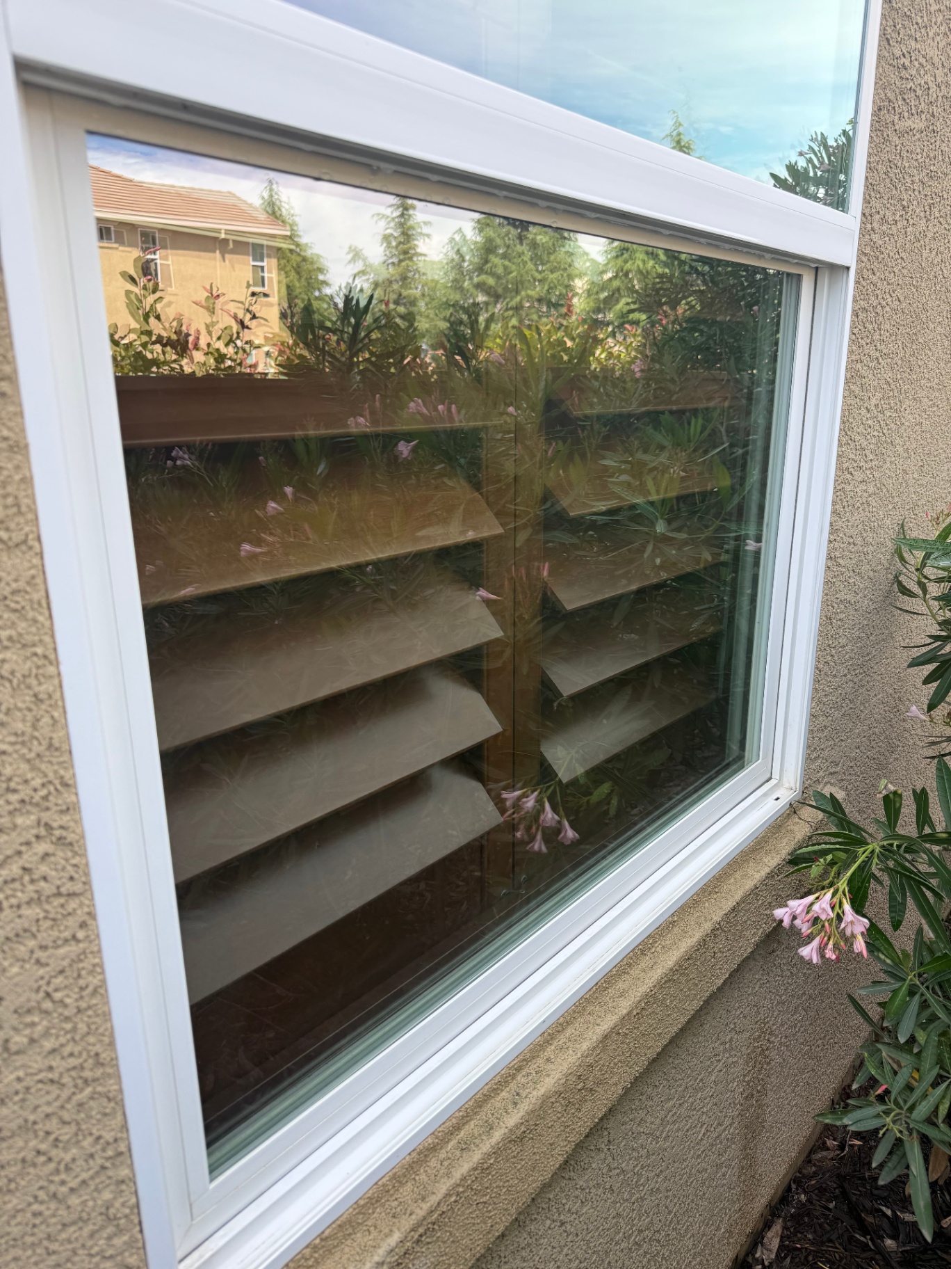 Window Cleaning after